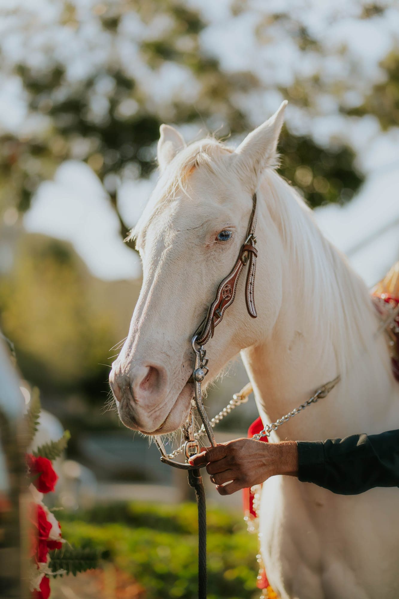 weddings — frame 31